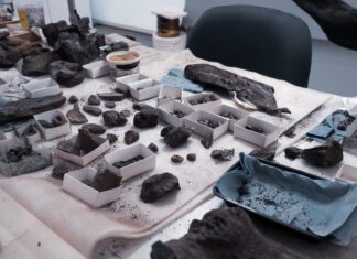 online webinar over archeologische vondsten uit de ViA15