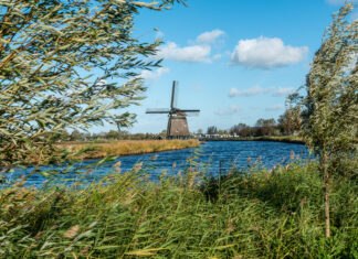 De provincie Noord-Holland stelt ruim €700.000 subsidie beschikbaar voor het onderhoud van historische windmolens met een rijksmonumentenstatus.