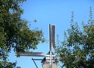 Omvangrijk molenroedeproject afgerond