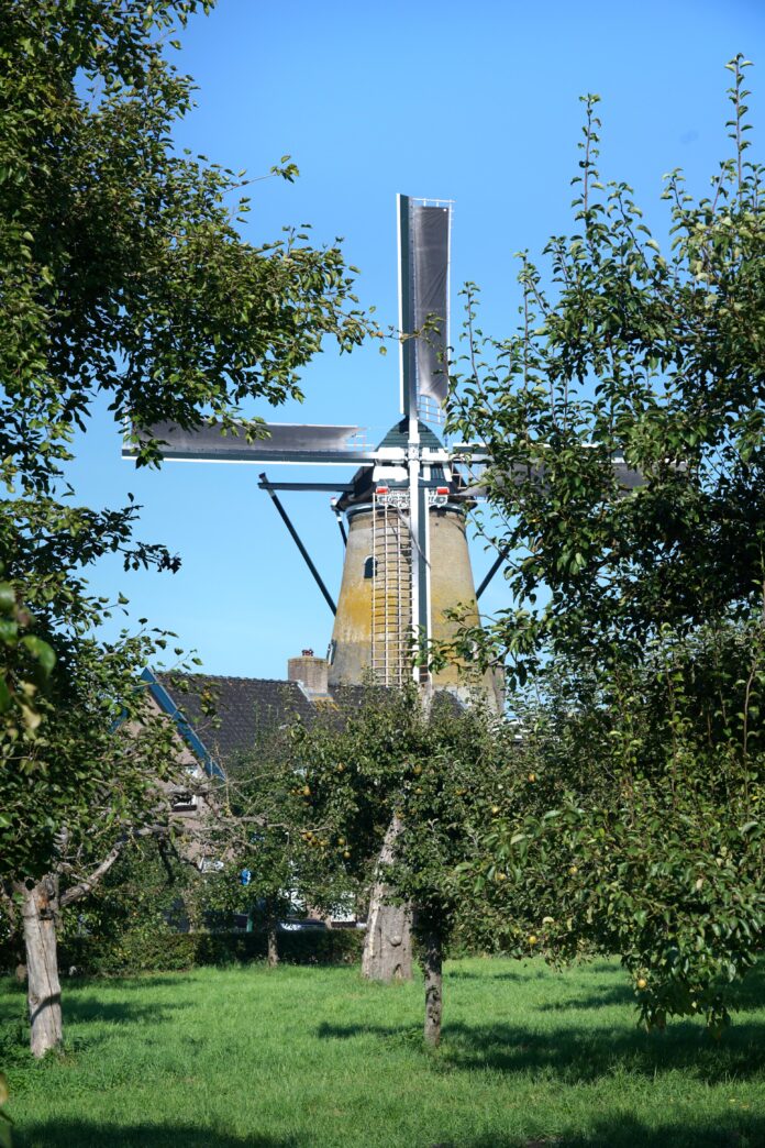 2. Molen oog in 't Zeil - Renk Ruiter