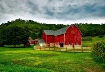 Provincie Groningen verdubbelt subsidie voor historische boerderijen en investeert ruim tien miljoen in behoud van erfgoed