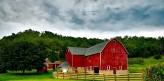 Provincie Groningen verdubbelt subsidie voor historische boerderijen en investeert ruim tien miljoen in behoud van erfgoed