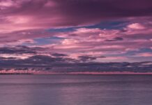 Historische vloot IJsselmeerregio krijgt juridische bescherming via gemeentelijk beleid