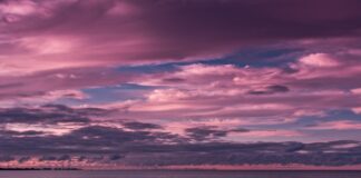 Historische vloot IJsselmeerregio krijgt juridische bescherming via gemeentelijk beleid