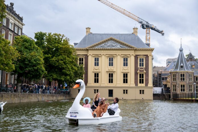 zwaan